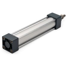 SC80x250 - Пневмоцилиндр - 2